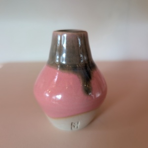 Vaas xs - roze met groen — 528106998629_vaas_xs_roze_groen_1_bhcnhjyhpx_fy8hvvelmd.jpg